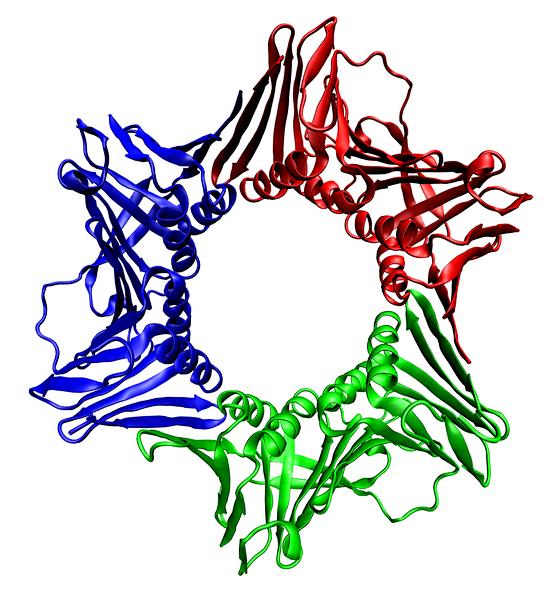 File:Proliferating c...