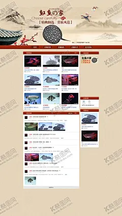 水族观赏鱼金龙鱼红龙鱼网页 【酷图网】水族,观赏鱼,红龙鱼,水族产品,特产详情页,设计排版,文字排版,电商设计,淘宝,食品,美食,排版,淘宝素材,天猫素材,美食海报,食品海报,淘宝店铺,天猫店铺,年糕,糯米,五谷杂粮,打糍粑,特产美食,传统小吃,传统美食,小吃特产,邵阳特产,湖南特产,杂粮,卡通糍粑,设计,淘宝界面设计,淘宝装修模板