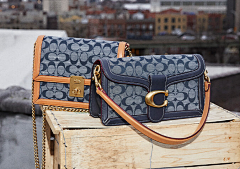 ず照進夣の蓅茪ず采集到COACH