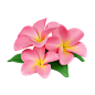 Frangipani Flowers  3D Icon