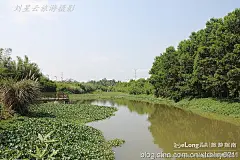 我在海南琼海租住的绿色生态小区什么样实拍, 刘星云旅游攻略