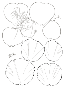 禾大米采集到手工