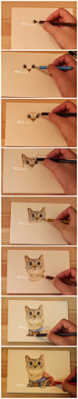 一只猫咪绘画过程