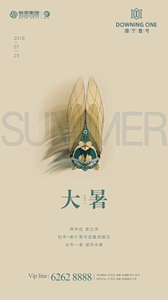 我是树懒我叫闪电采集到节日