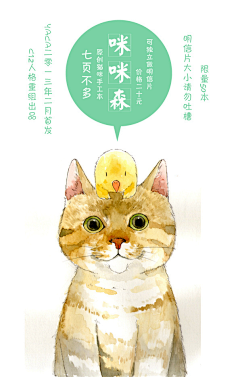 许斯特采集到猫