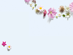 以我为中心采集到花png