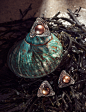 Photograph Shell by Vladimir Zotov on 500px