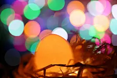 圆点，图片，蛋白质，鸟巢，食物，光斑，傍晚，梦幻，鸡蛋，发光体，高清素材，美食，唯美，夜晚，好看的壁纸，818A6870 – 饿狐背景网站-微距高清设计素材免费图片下载海报壁纸摄影背景素材，背景图，背景墙，背景板，背景图片，背景纹理，背景板设计，背景材质，背景大图