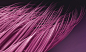Marketplace : LOOKBOOKS.com is the Technology behind the Talent. Discover, follow, share. 