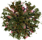 tree-39