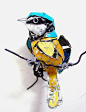 废物的利用——神奇鸟雕塑 - 设计师的网上家园！www.cndesign.com