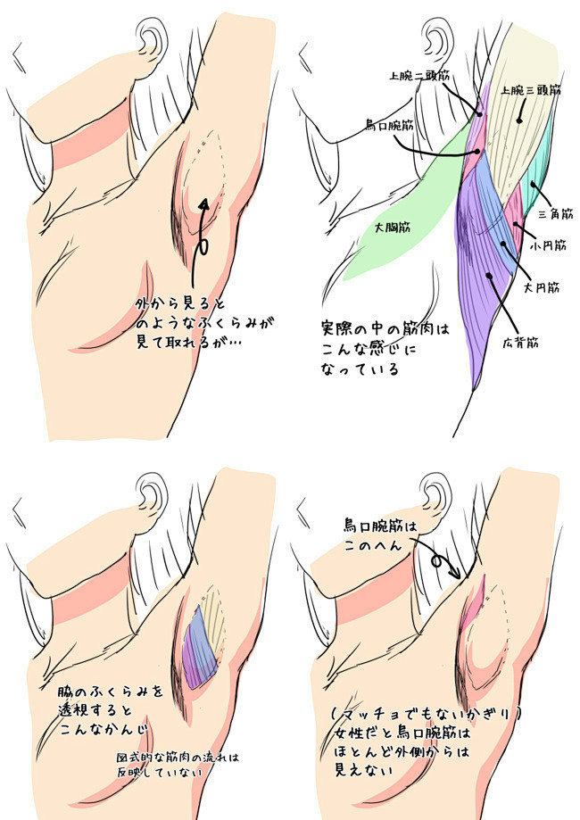 设计秀腋下绘画方法，注意阴影和肌肉的关...