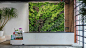 Greenery Unlimited Design Store [Brooklyn] : Greenery Unlimited is one of the first biophilic design store in the world, connecting a shopping space with natural environment. Surrounded by leaves and exotic plants, the visitors are invited to stroll aroun