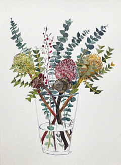 LUO枫风采集到植物插画