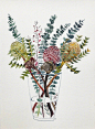绘画作品 ​ （作者：Sally Browne   ） ​ ​​​​