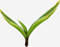 自然发芽树叶植物免抠素材_新图网 https://ixintu.com 发芽 树叶 植物 自然