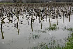 兰戈兰，兰戈兰码头洪水泛滥，加隆河水上涨，2020年3月，坑溢出