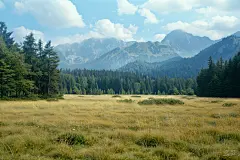 草原秋色高清壁纸