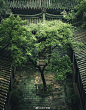 @魏谦 的个人主页 - 微博