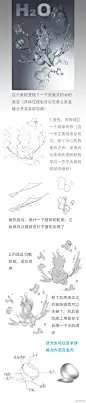 我的首页 微博-随时随地发现新鲜事