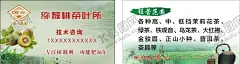 茶叶猕猴桃名片海报 【酷图网】奇异果名片,美味猕猴桃,农作物,果品,水果批发名片,新鲜水果名片,水果店名片,水果名片设计,蔬菜水果,水果超市名片,名片设计,名片设计欣赏,名片模板,水果名片,清新大气名片,简洁时尚名片,水果种植基,地,果园农场名片,水果,农业名片,水果代理名片,新鲜水果,产地,销售,水果园,绿色名片,设计