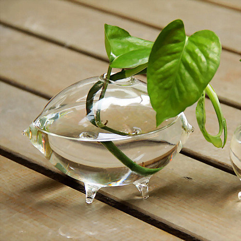 ZAKKA 橄榄形玻璃小花瓶