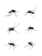 矢量蚊子剪影元素