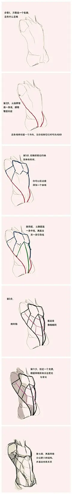 #绘画教程# 整个胸部腹部的绘制教程。肯定会有需要的同学。转发有奖：OCG窝插画原画手绘板绘画游戏美术