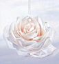 Dior - 迪奥花秘瑰萃光晳 玫瑰焕润精萃露 - 4 aria_openGallery