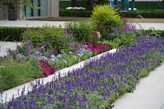 和2008采集到03Terrace 叠级花基花池规则式