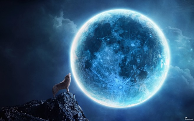 晚上月亮蓝月亮狼/ 1920x1200壁...