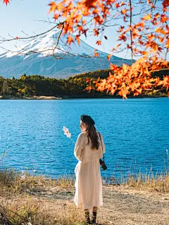 走进漫画壁纸里的富士山河口湖枫叶红了 - 小红书