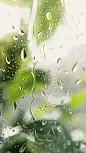 特效通用玻璃水滴花朵植物背景场景图片素材