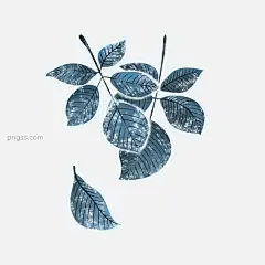手绘霜降霜雪蓝色树叶枯叶落叶PNG搜索网 - 精选免抠素材_透明PNG图片分享下载_pngss.com