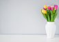 Colorful tulips in white vase on the table on light grey backgro by Alena Haurylik on 500px
