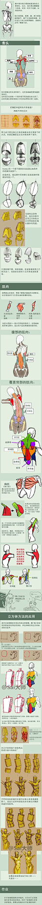 人体的一些实用教学，教你怎样去理解人体结构，结构的解剖与人体比例讲解，以及人体肌肉教程，最后附上男性人体动态100招式，推介给大家，转给需要的伙伴们吧~ ​cr:@Sai大学堂