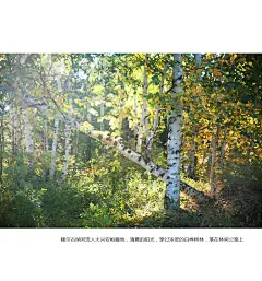 呼伦湖畔，与梦私奔_内蒙古_黄河上下_光影天下_数码生存-小林的摄影设计手绘文字