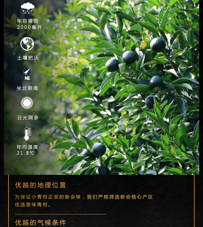 帝新茶叶小青柑普洱茶特级熟茶正宗新会陈皮...