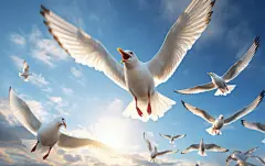 飞翔的海鸥元素图片素材