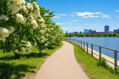 健身长跑跑道图片摄影图