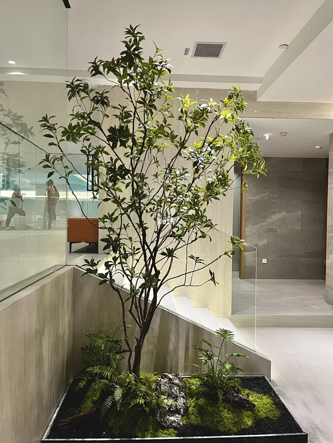 室内简约精致的小造景-花瓣网
