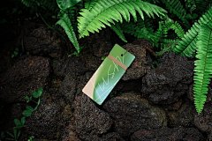 5款品牌VI设计咖啡纸杯包装纸盒海报名片标签展示效果样机PSD模板 Branding Mockups / Lush Series 04 – 图渲拉-高品质设计素材分享平台