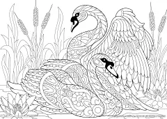 装饰黑白稿 线控