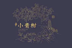 新会小青柑产品包装插画设计熊子塔小鸟天堂