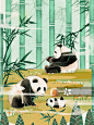 熊猫,家庭,大熊猫,竹子,竹林正版图片素材