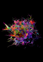 Dynamic Expressions // Motion Art : Series of Digital art exploring dynamic movement and abstract simulations. All created in 3D and animated using particle systems.