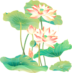 喵了个咪`采集到花束