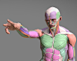 Anatomy - A 3D model collection by who (@whowhowhoami) - Sketchfab