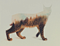 Norwegian Woods: Artworks by Andreas Lie | Inspiration Grid | Design Inspiration”>
  <meta property= : Inspiration Grid is a daily-updated gallery celebrating creative talent from around the world. Get your daily fix of design, art, illustration, ty