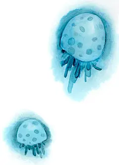 乌贼彩绘